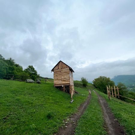 Alereks Mountain Camping Dszeh Kültér fotó