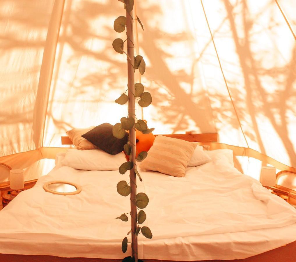 Alereks Mountain Camping Dszeh Kültér fotó