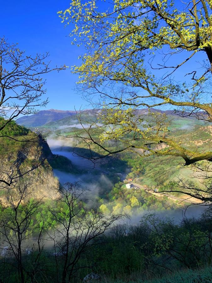 Alereks Mountain Camping Dszeh Kültér fotó