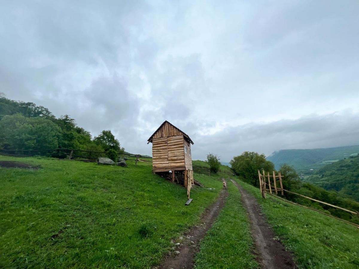 Alereks Mountain Camping Dszeh Kültér fotó