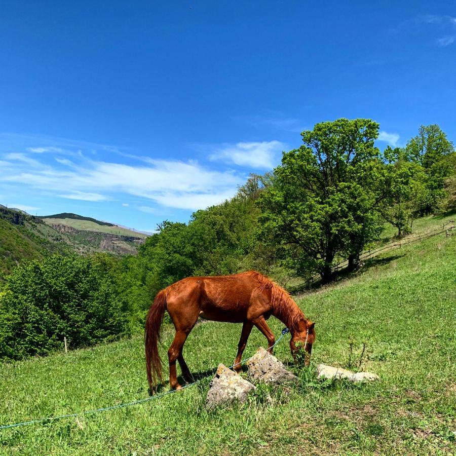 Alereks Mountain Camping Dszeh Kültér fotó